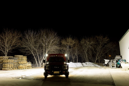 FireTech Guardian Surface Mount Scene Light